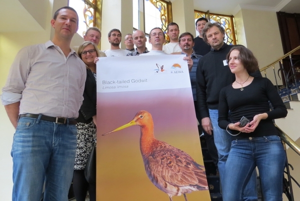 Regional IWG Meeting Eastern European Breeding Population